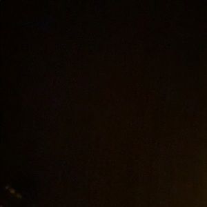 Meet your Posher, Remi